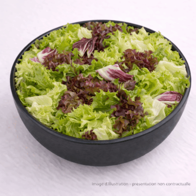Salade Mêlée Bio