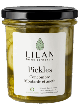 Pickles concombre bio