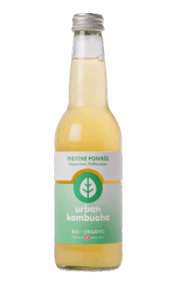 Limonade Urban Kombucha Menthe bio