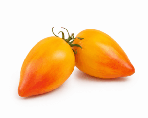 Tomate Flamme bio