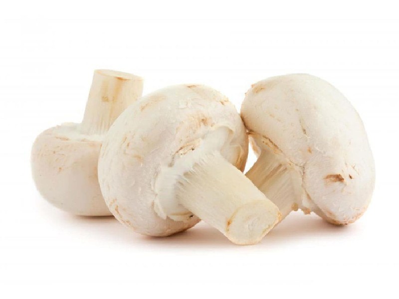 Champignon Paris blanc bio