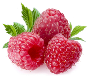 Framboises bio