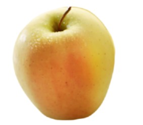 Pomme Goldrush bio