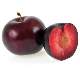 Prune rouge bio
